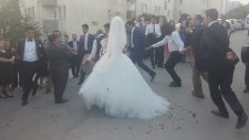 Davul Zurna Halay