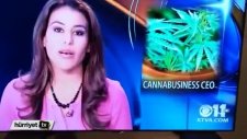 Canlı Yayında Küfür Ederek İstifa Etmek - Charlo Greene