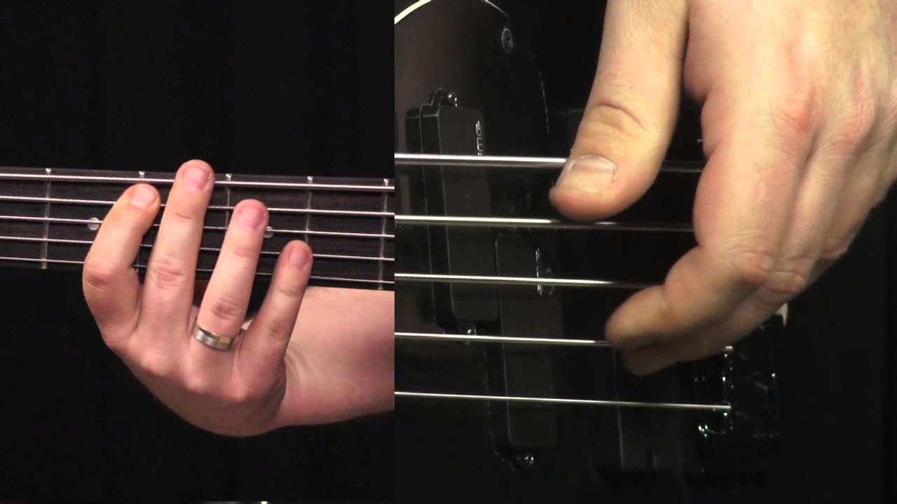 Bas Gitar Çalma Teknikleri Bas Gitar Çalma Teknikleri