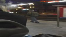 Florya'dan aslanı söküp metrobüsle götürdüler!