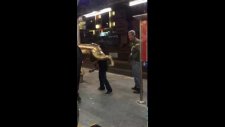 Galatasaray'ın Aslan Heykeli Çalındı, Metrobüsle Götürüldü
