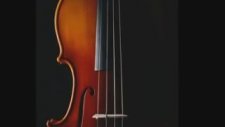 Ahmad Zahir:Tanha Shodam (El Bimbo-Paul Mauriat)