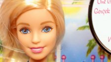 Barbie Öğretmen seti oyuncak tanıtımı - EvcilikTV Oyuncak Videoları