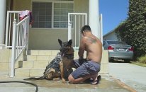 Dog Washing Time (Köpek Banyosu)