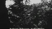 Yabancılaşan İnsan - Uyuyan Adam (1974)