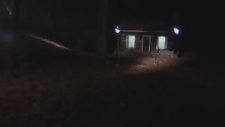 Ağaçların Tecavüzüne Uğrayan Kadın - Evil Dead