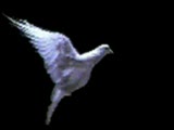 Ercan Demirel - Ben Dün Gece Rüyamda Seni Gördüm Ercan Demirel - Ben Dün Gece Rüyamda Seni Gördüm