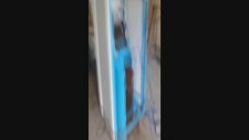 MANTAR KOMPOS PAKETLEME MAKİNASI