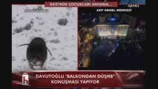 Davutoğlu Balkon Konuşması Yaparken Penguen İzletmek