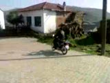 tolga show