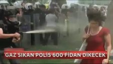 Kırmızılı Kadın'a Gaz Sıkan Polise 600 Fidan Dikme Cezası
