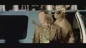Simple Plan - What's Simple Plan - What's