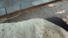 Petrol Variliyle Ekmek Pişirmek