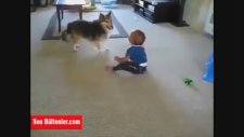 Köpeğin çocuğu güldürmek için gösterdiği gayret izlemeye değer
