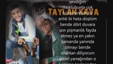 TayLan Kaya - Mahkeme Yolunda