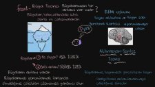 Freud’un Rüya Teorileri, Aktivasyon-Sentez Varsayımı