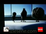 Holly Dolly - Dolly Song Video Klip