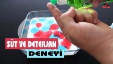 Süt ve Deterjan Deneyi - Sütün Boyayla Dansı
