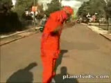 America Rap Çetesi Bloods