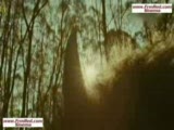 where the wild things are - fragman