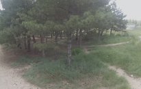 Fpv Racers Team Angara - Emre Park - 21.06.2015 Or-An Orman Uçuşu