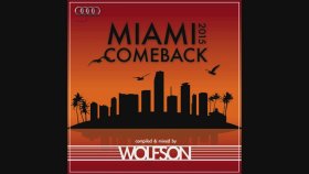 Wolfson - Miami Comeback 2015
