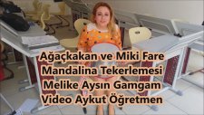 Ağaçkakan Miki Fare Mandalina Melike Aysın Gamgam Beylikdüzü Mektebim Koleji
