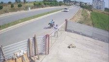Köpek Pompalı Tüfekle Öldürüldü