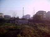 güvercin taklacı seferli beyaz