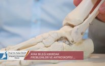 Prof. Dr. Tahir ÖĞÜT - AYAK BİLEĞİ KIKIRDAK PROBLEMLERİ VE ARTROSKOPİSİ