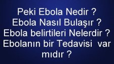 Ebola Nedir ? Nasıl bulaşır ? Tedavisi Var mıdır ? Belirtileri Nelerdir ? Ebola Hakkında Herşey