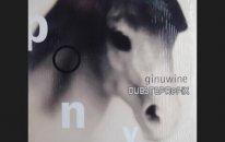 Ginuwine - Pony (Boson Dubstep Remix)