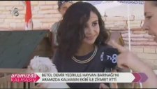 Betül Demir, Yedikule Hayvan Barınağında