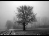 tiamat - deeper kind of slumber