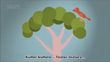 Öldükten Sonra Toprağın Altında Bedenimizde Olan Bitenin