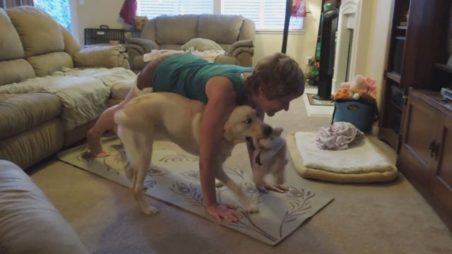 Sahibinin Yoga Yapmasına Karşı Olan Köpek