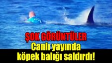 Canlı Yayında Köpek Balığı Saldırısı!