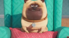 Evcil Hayvanların Gizli Yaşamı (The Secret Life Of Pets) Türkçe Dublajlı Fragman
