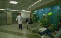 Kolan Hastanesi Şişli International Tüp Bebek Merkezi - Prof. Dr. A. Sertaç Batıoğlu