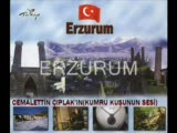 cemalettİn çiplak kumru kuŞ sesİ altinbaŞak köyü p