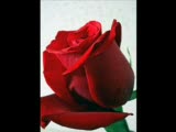 hadi gel biz eskİŞehİr olalım