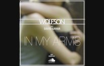 Wolfson feat. Dave Gahan - In My Arms (Free Download)