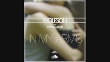 Wolfson feat. Dave Gahan - In My Arms (Free Download)
