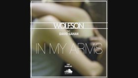 Wolfson feat. Dave Gahan - In My Arms (Free Download)