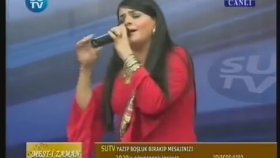 Arzu Şahin - Saçımın Akına Bakma Arzu Şahin - Saçımın Akına Bakma