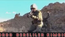 Bordo Bereliler Kimdir?