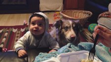 Çocuğa Öğreteyim Derken Köpeğe Anne Demeyi Öğretmek