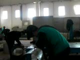 argoncular kralı