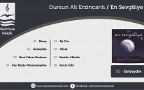 Dursun Ali Erzincanlı - Gelseydin