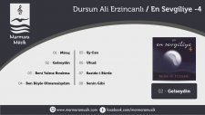 Dursun Ali Erzincanlı - Gelseydin